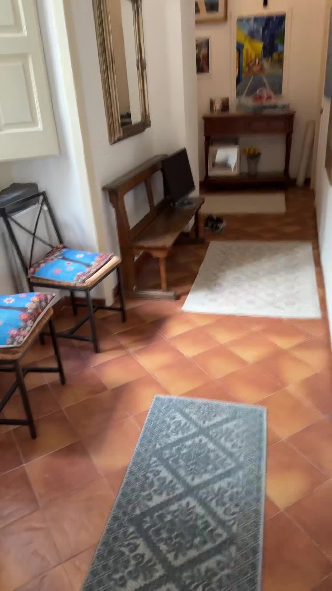 Property video