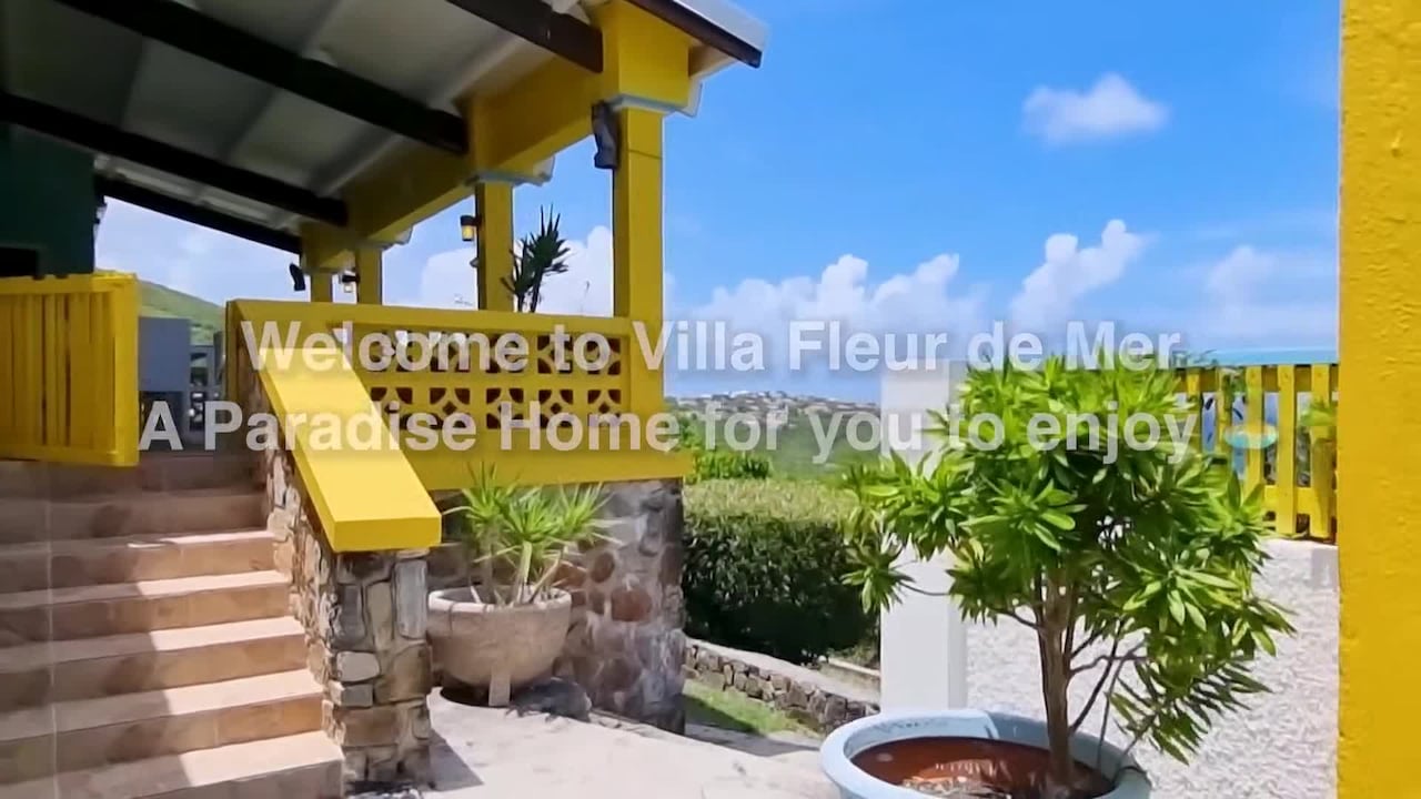 Property video