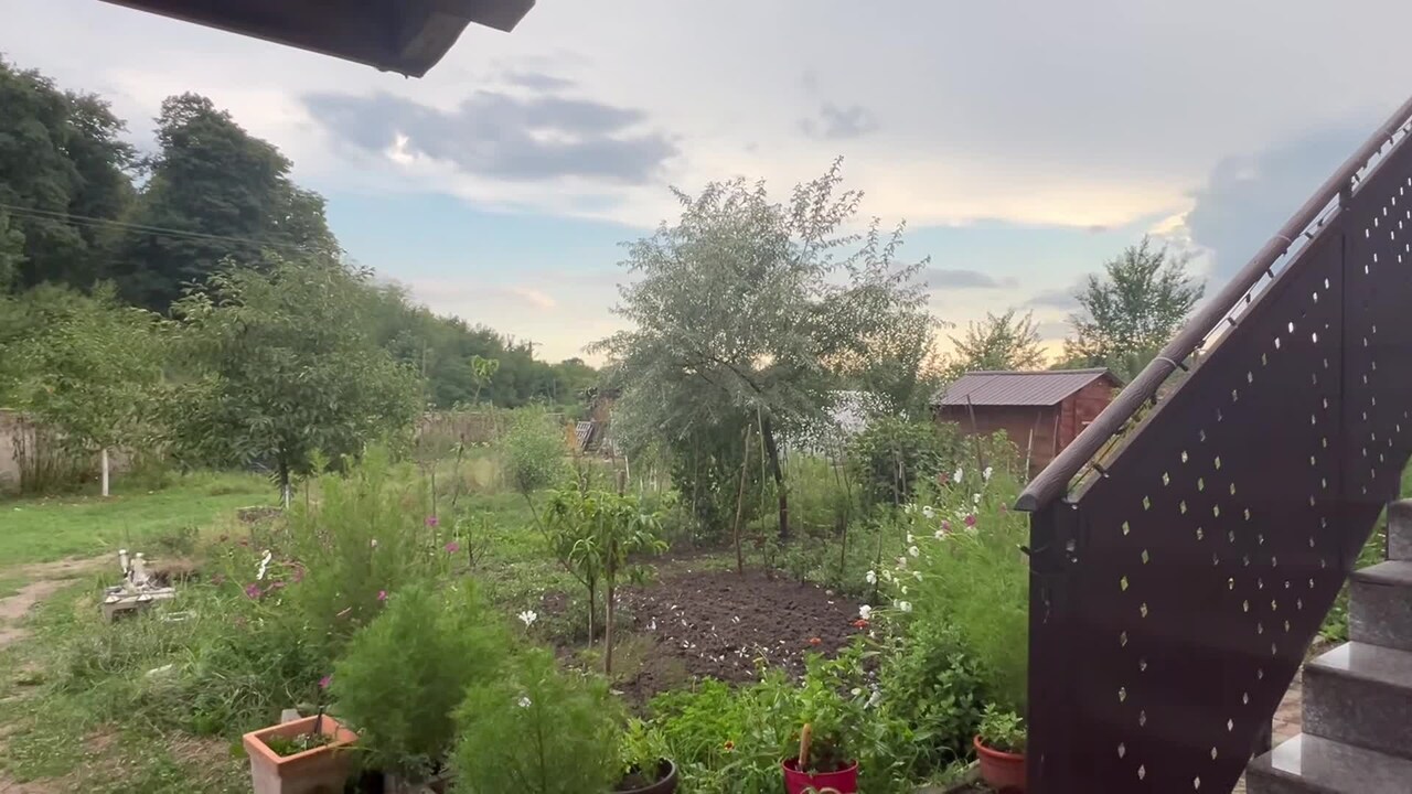 Property video