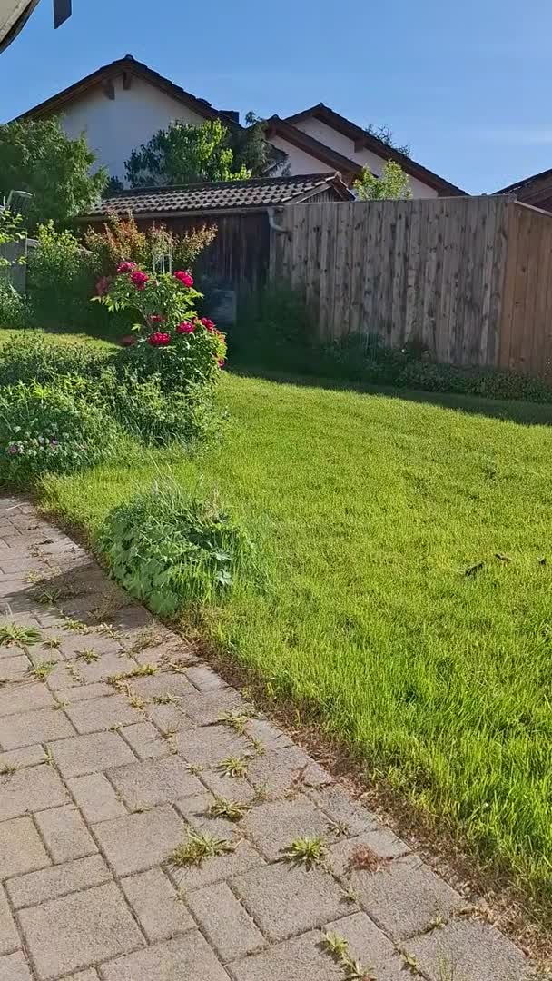 VidĂ©o de lâhĂ©bergement