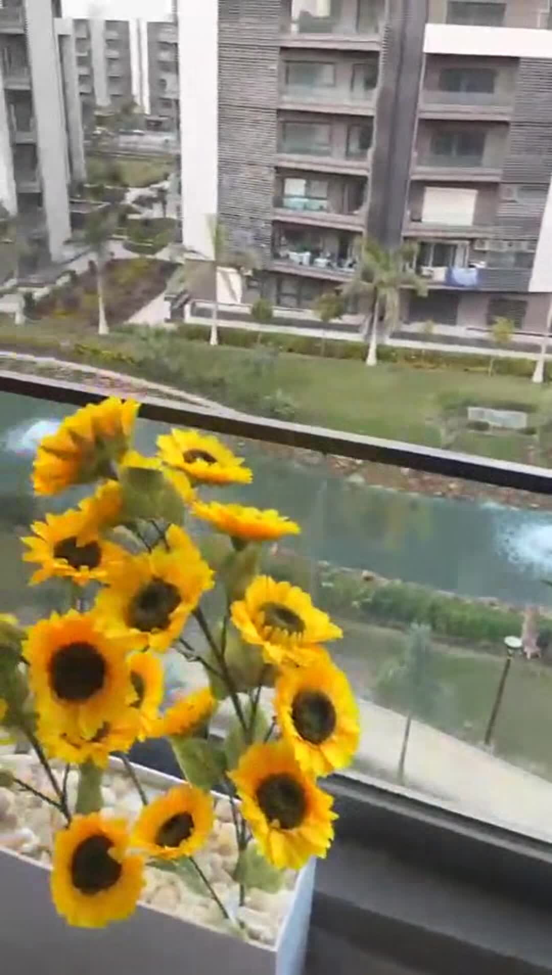 Vídeo hecho por el alojamiento