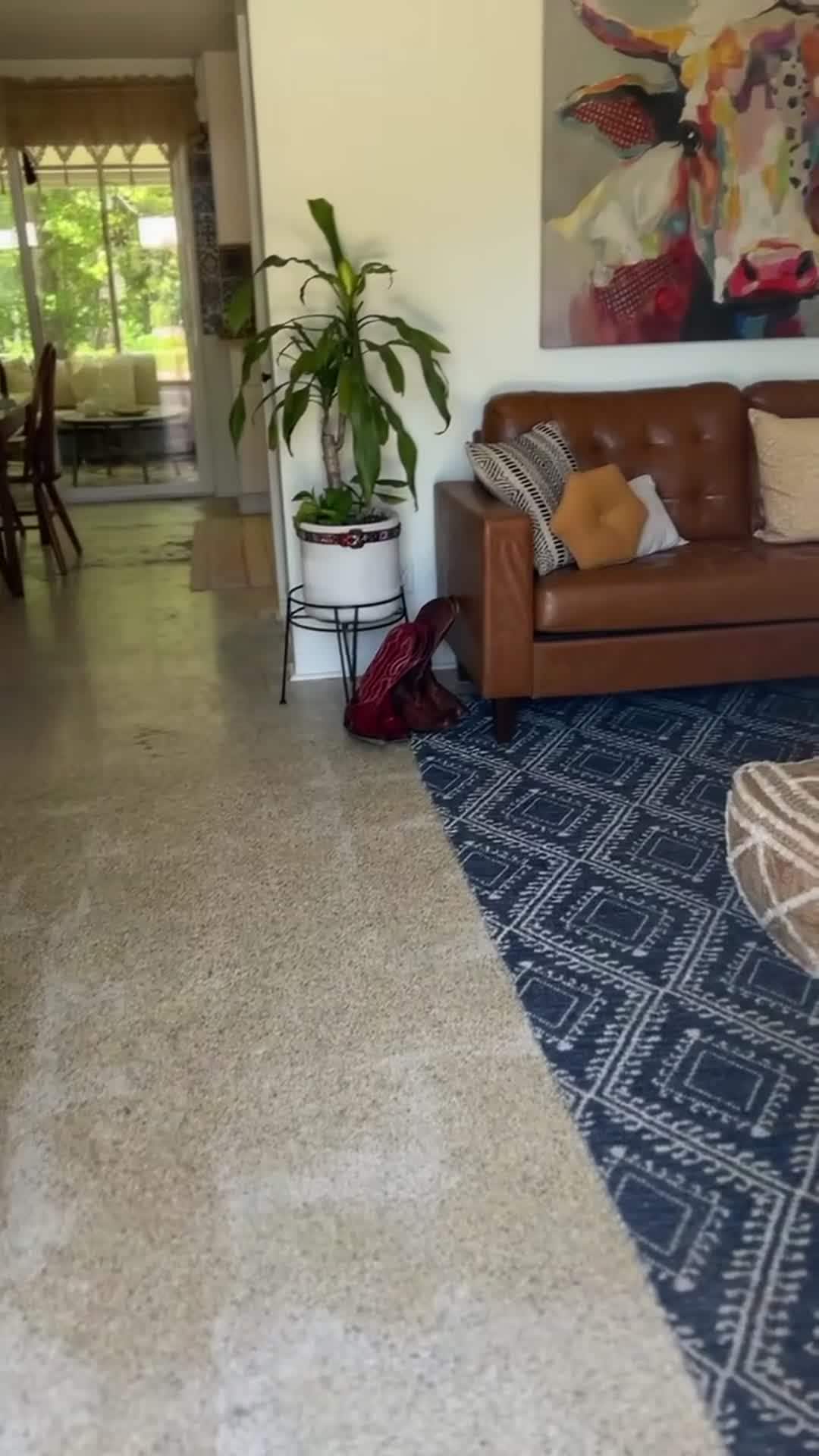 Property video