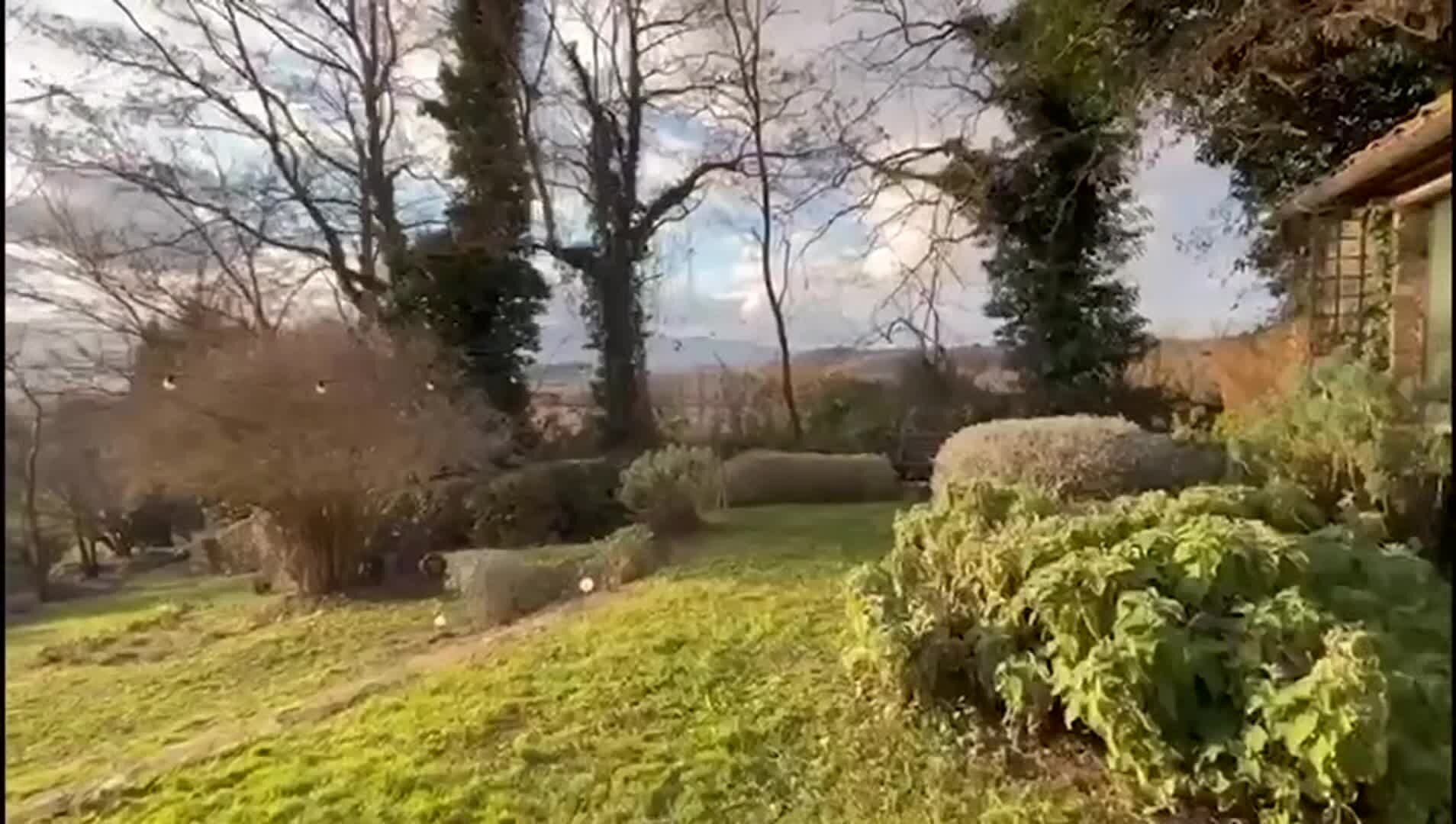 Property video