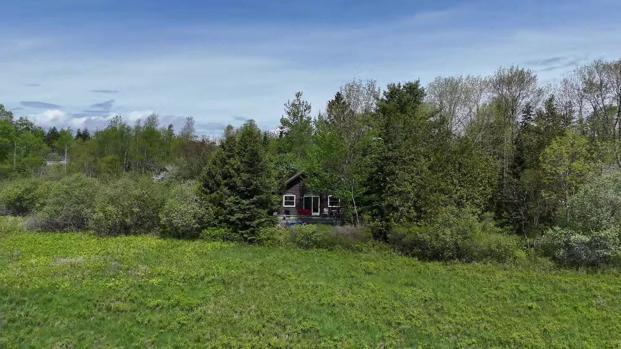 Property video