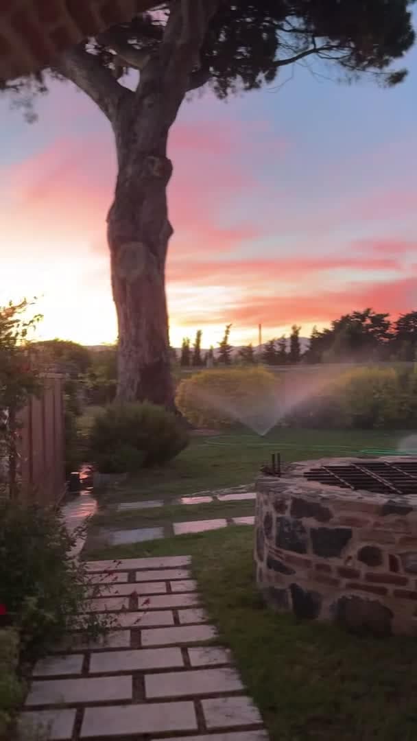 Property video