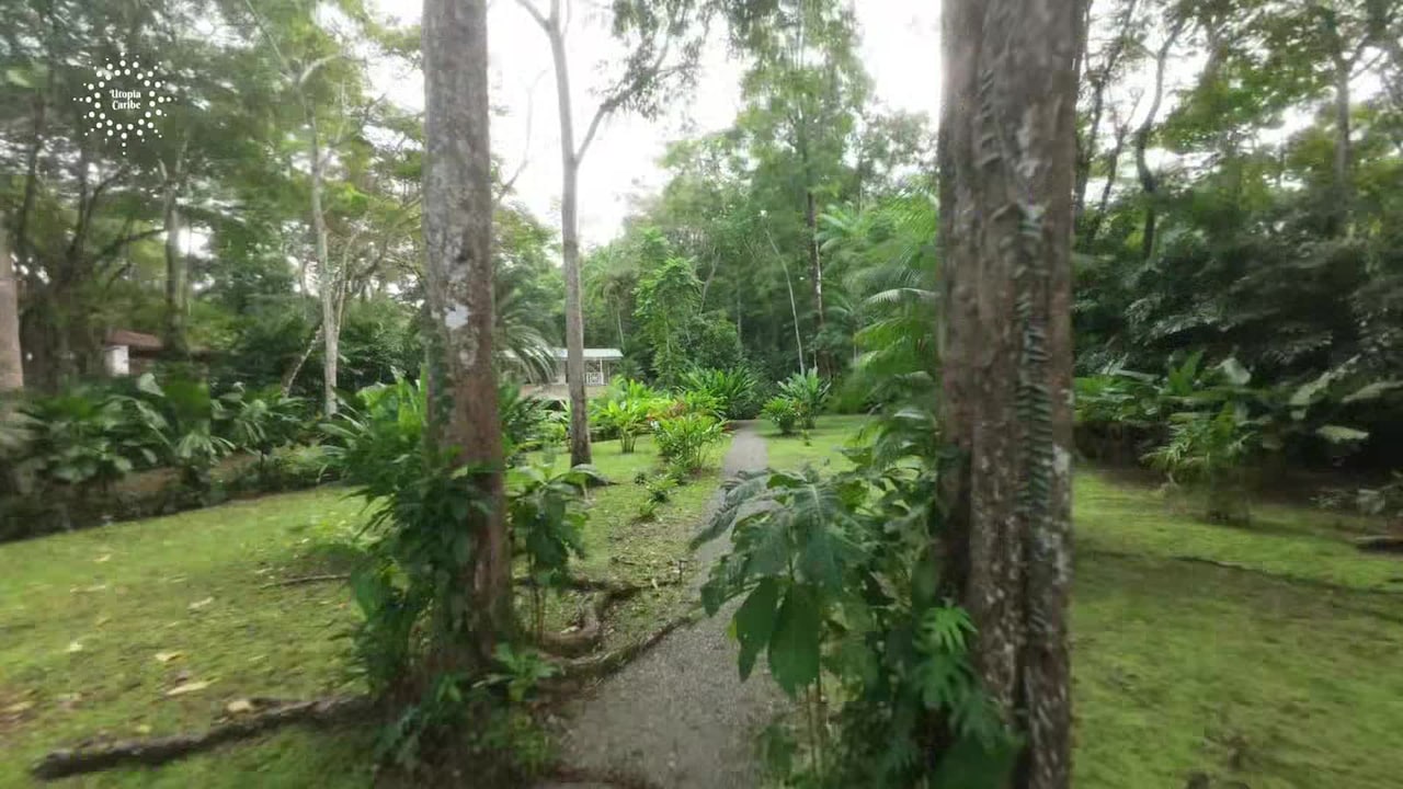 住宿方视频