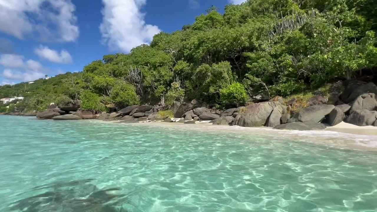 Video der Unterkunft