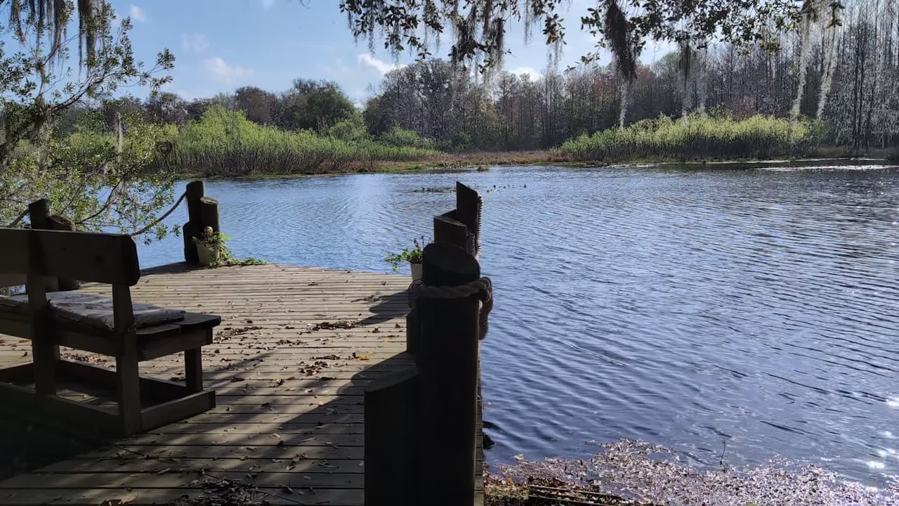 Video realizado por la propiedad