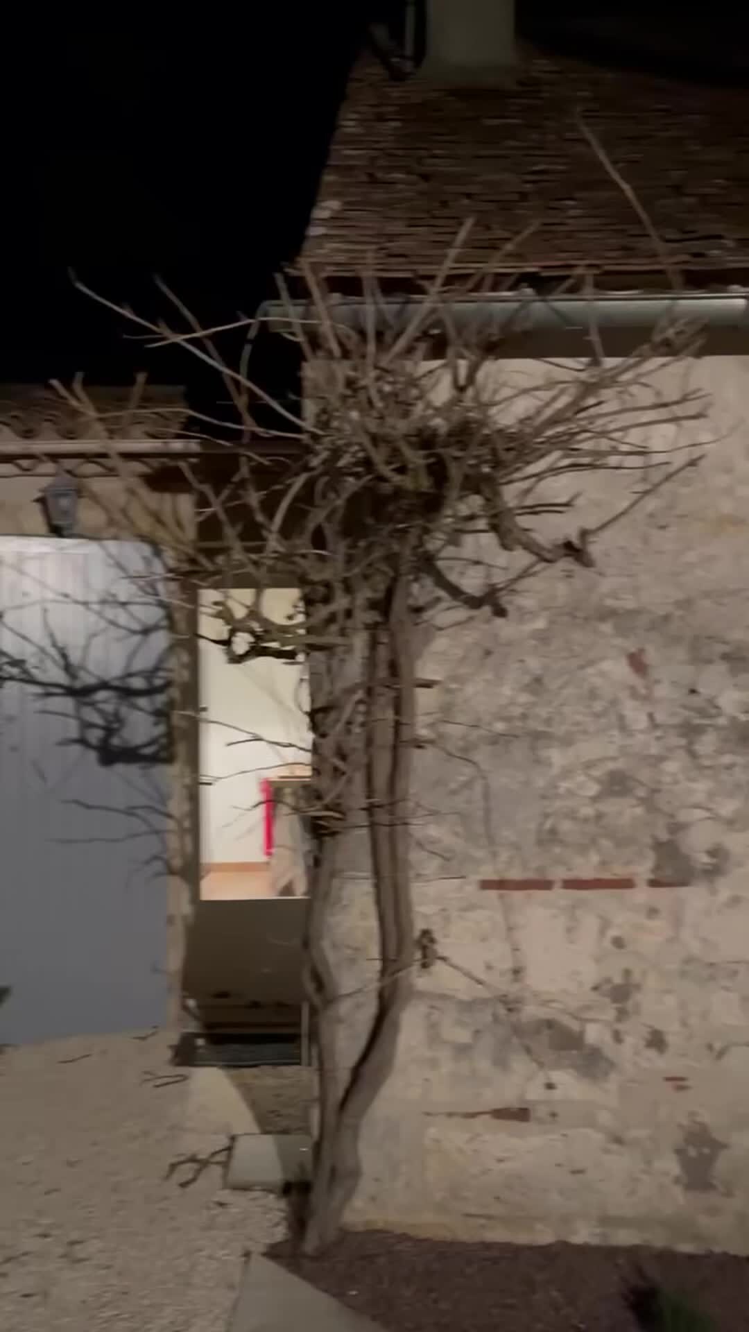 Property video