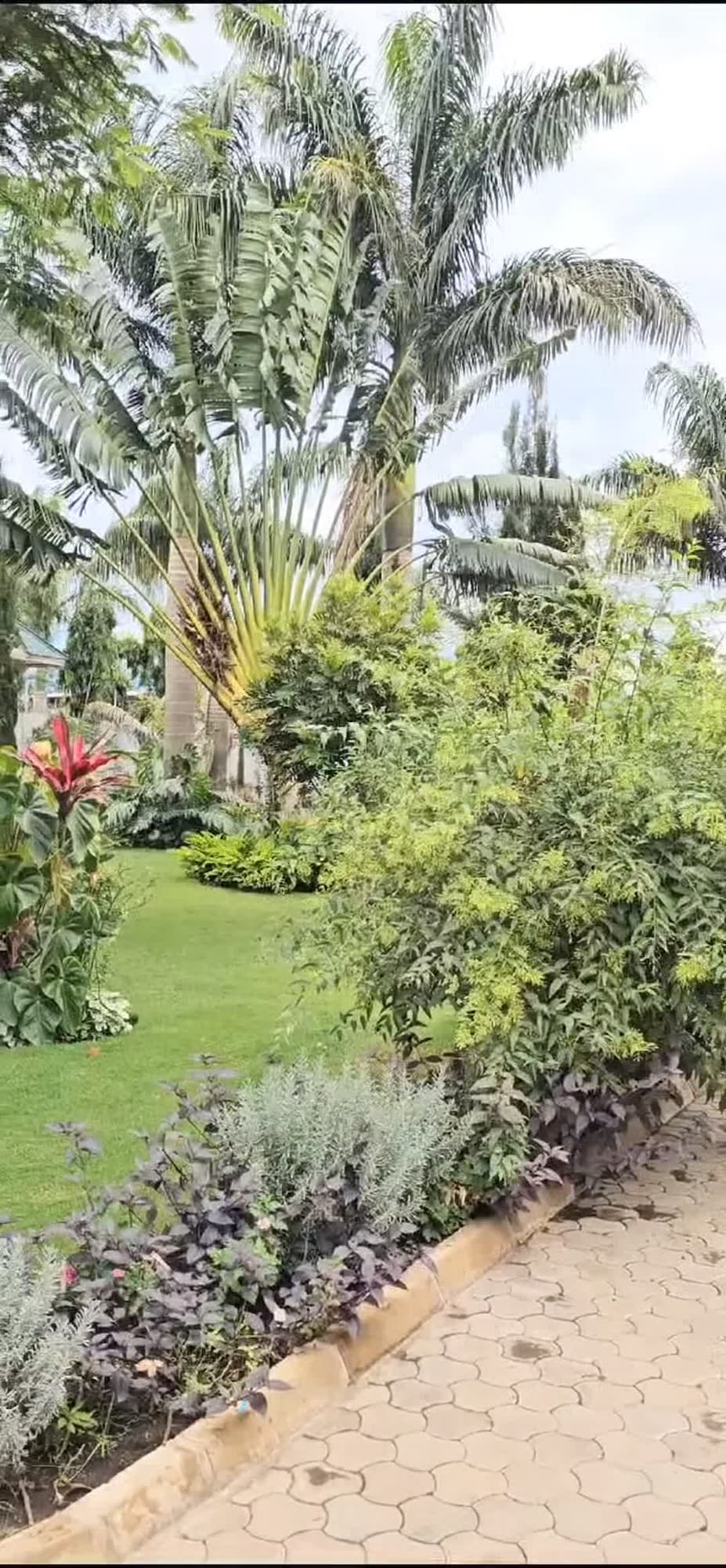 Video der Unterkunft