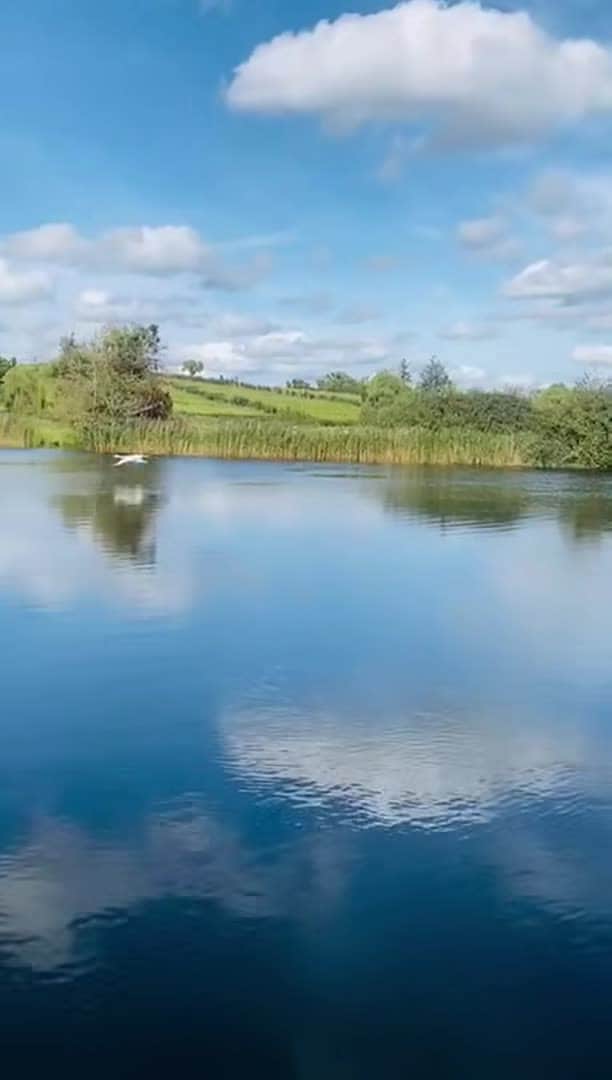 فيديو المنشأة الفندقية