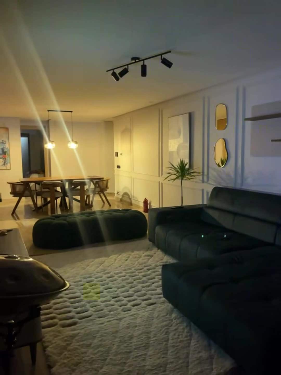 Property video