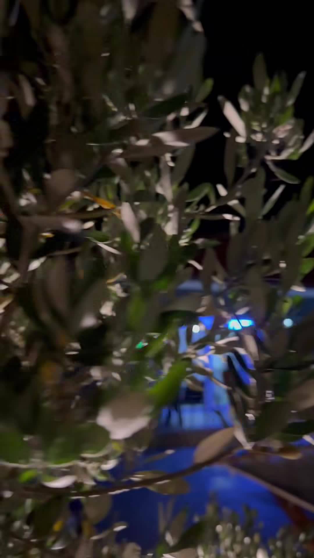 Property video