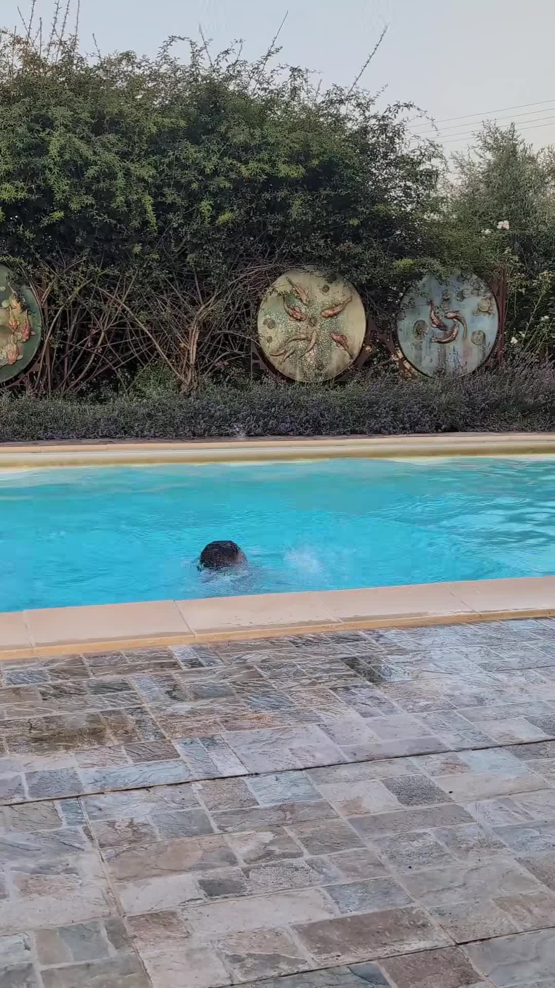 Property video