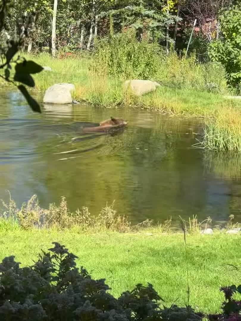 Vidéo de l’hébergement