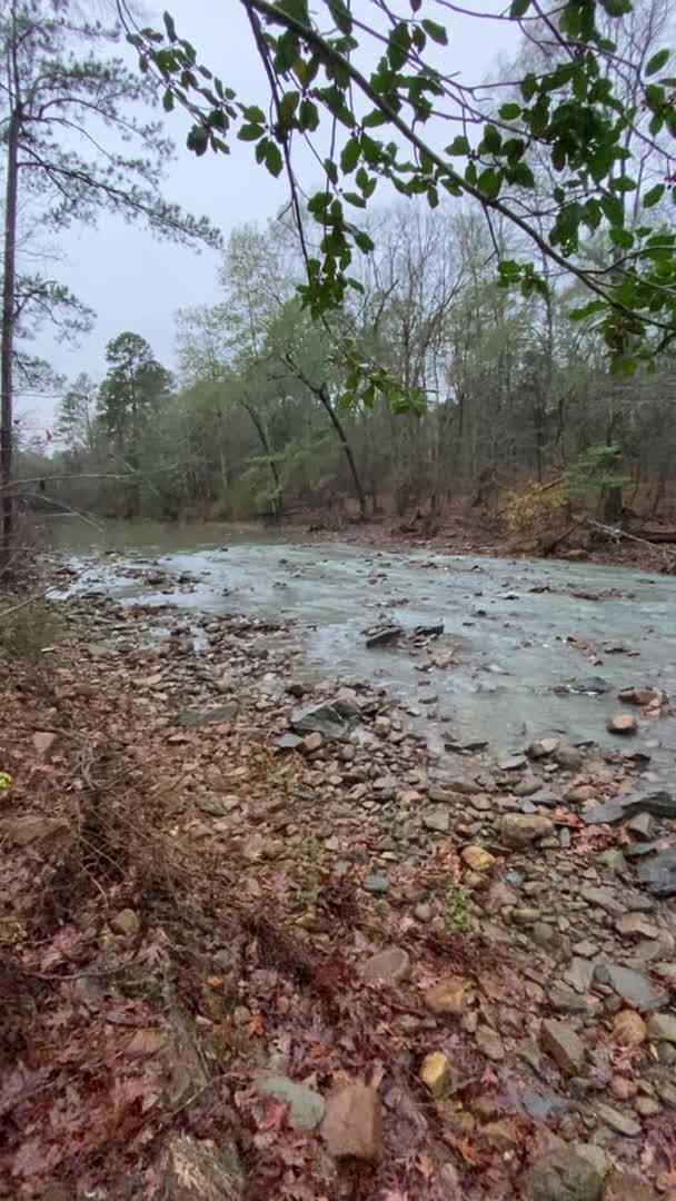 Video der Unterkunft