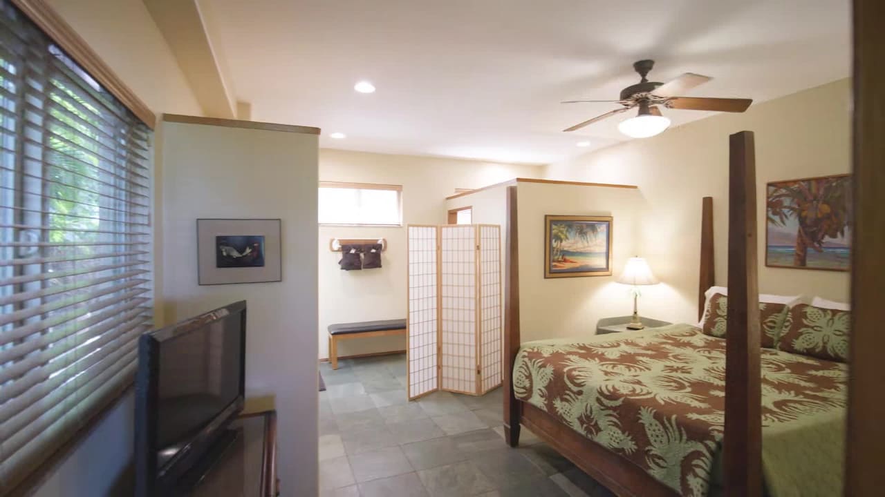 Property video