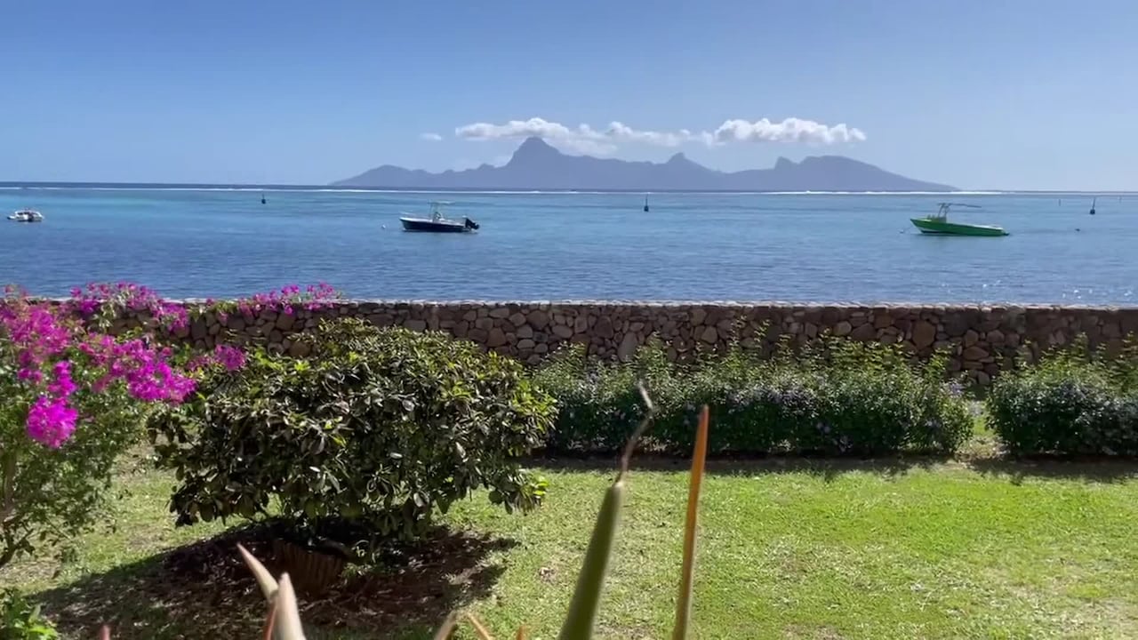 Video realizado por la propiedad