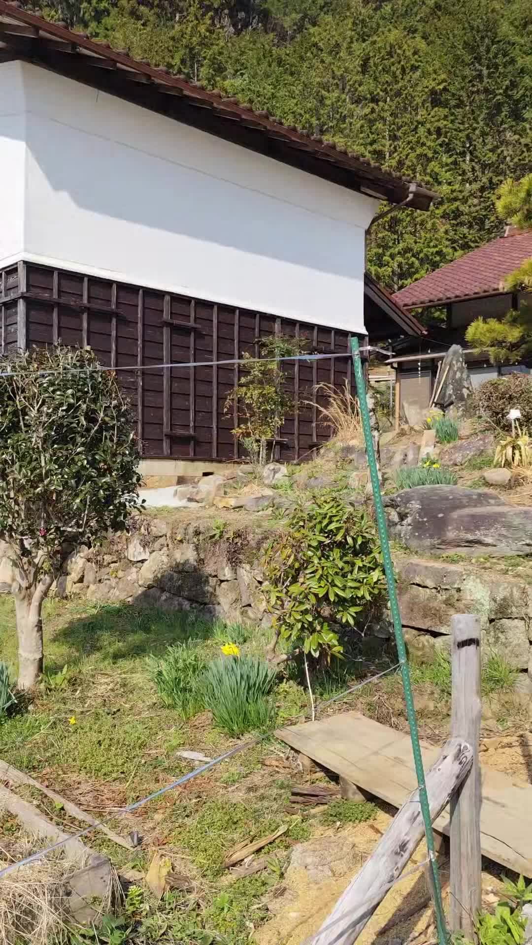 宿泊施設による動画