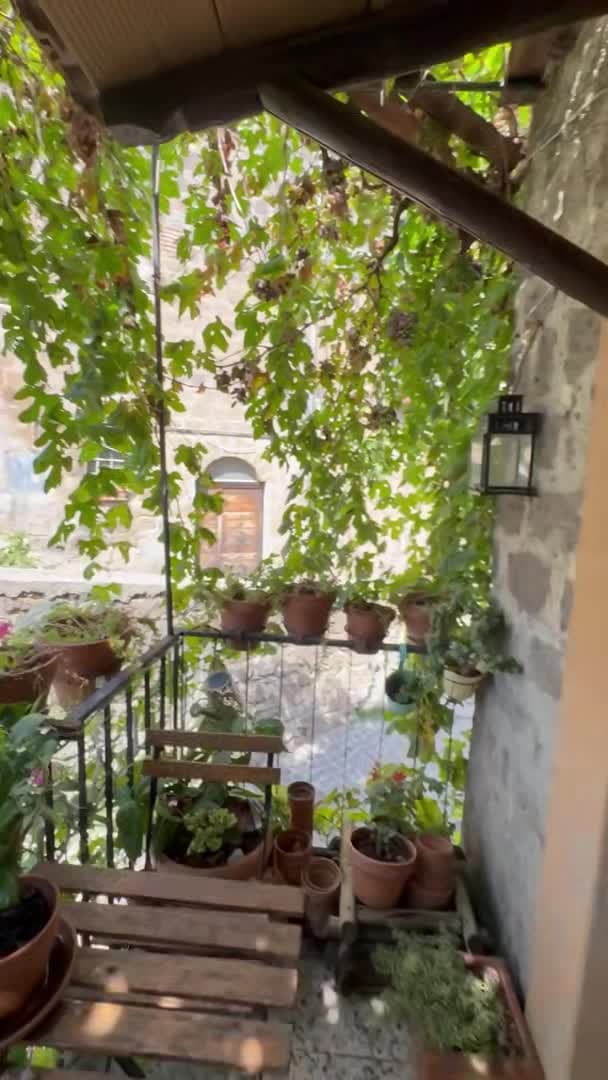 Property video