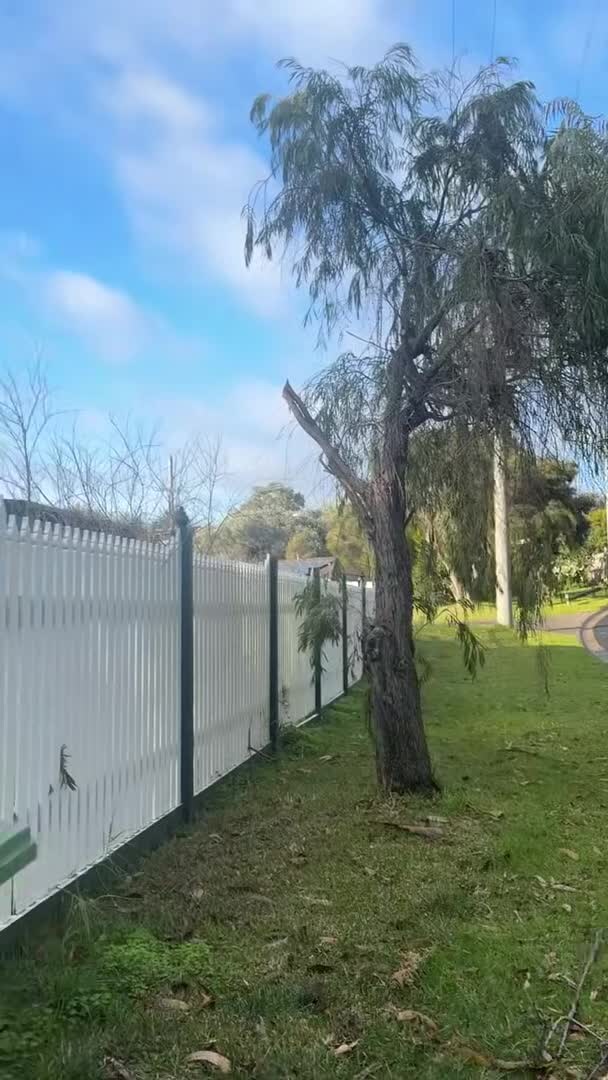 Vídeo da propriedade
