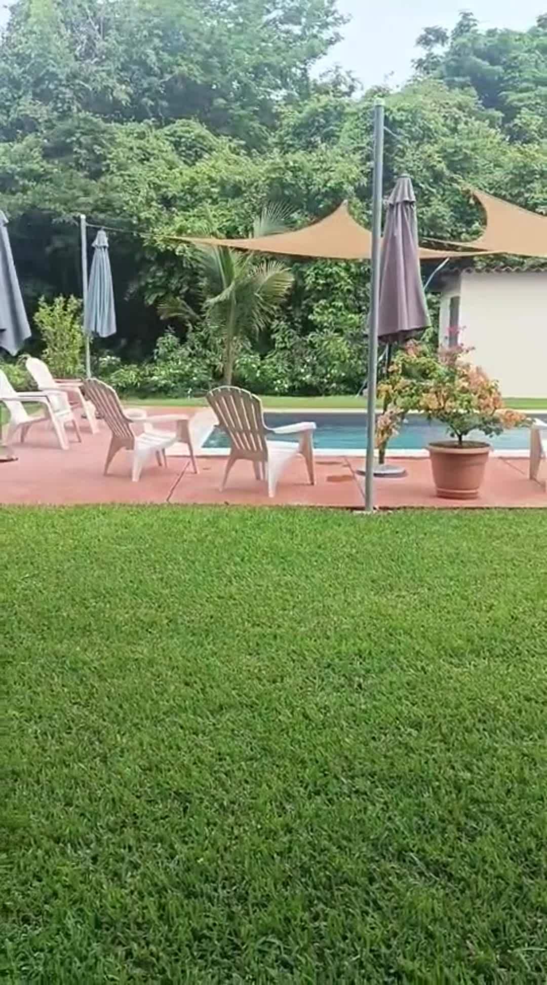 Video der Unterkunft