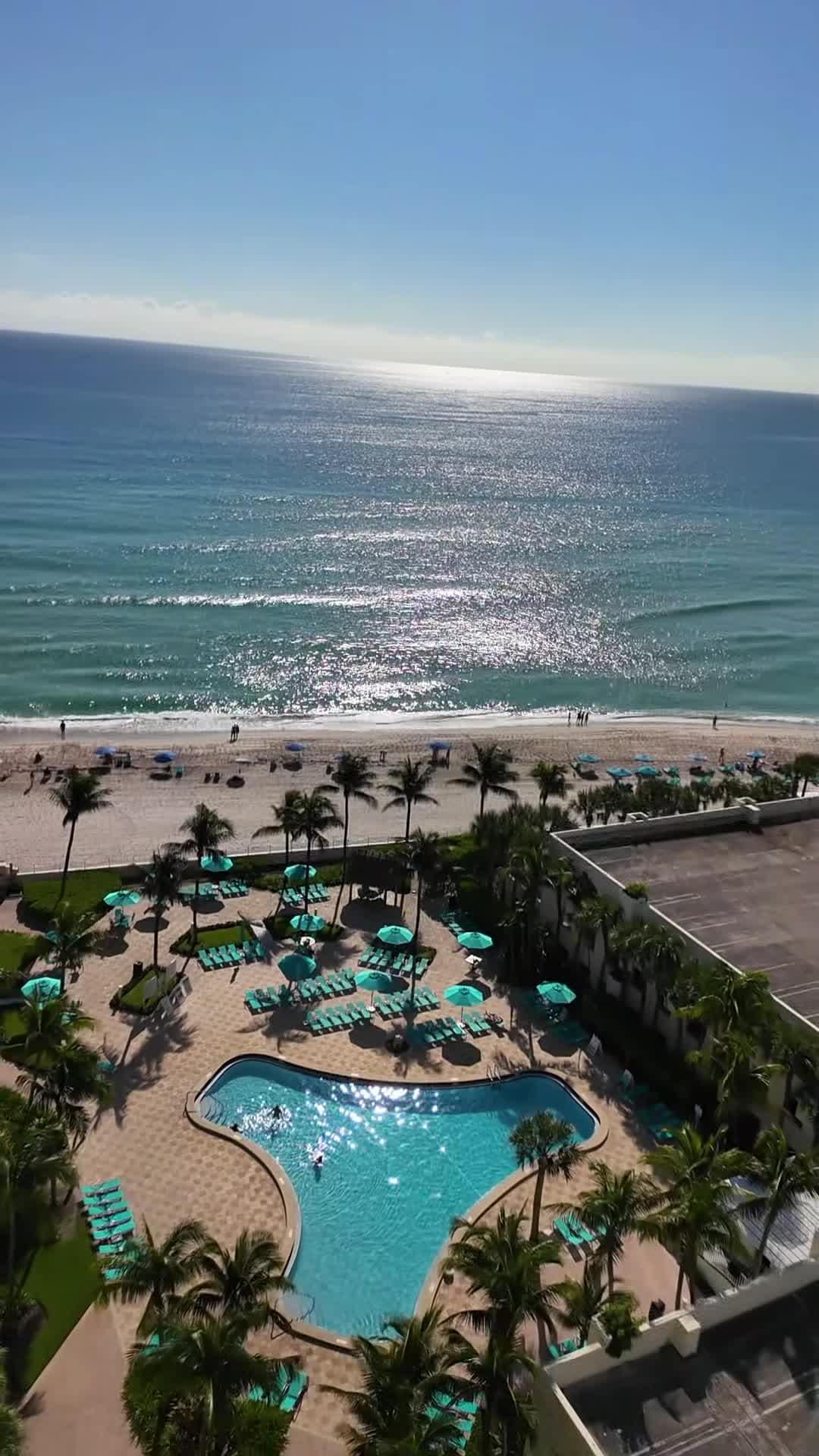 Video realizado por la propiedad