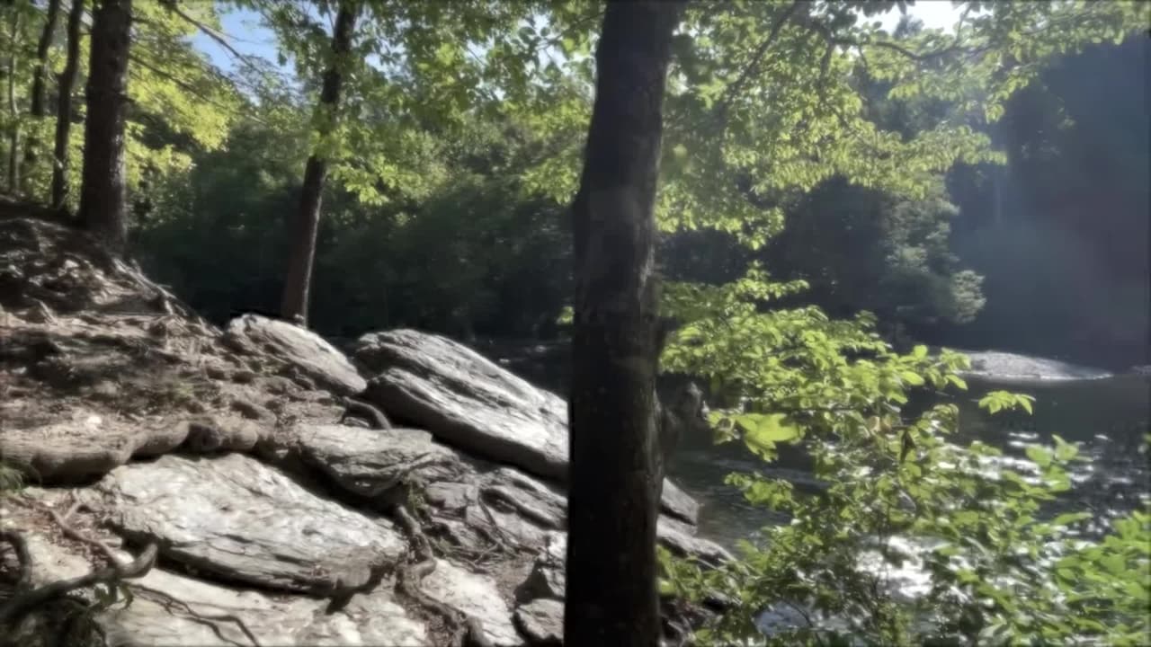 Vidéo de l’hébergement