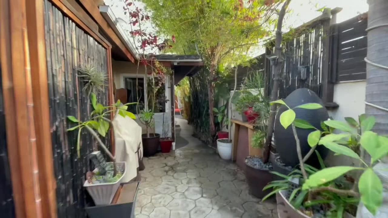 Property video