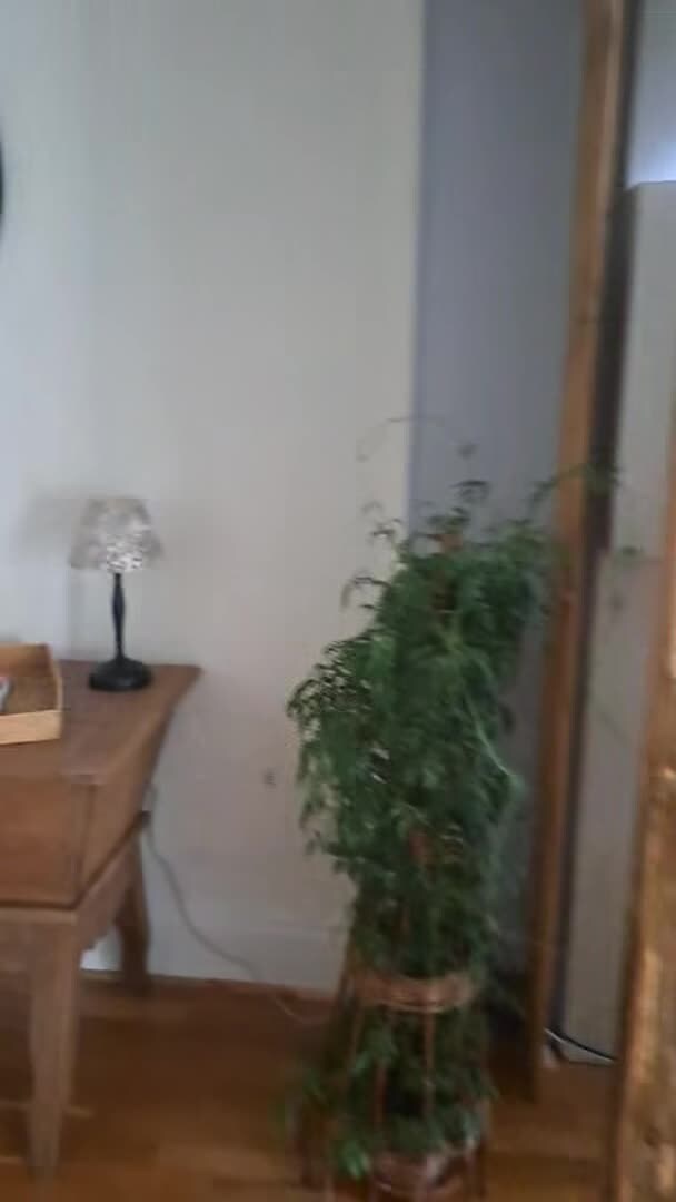 Video der Unterkunft