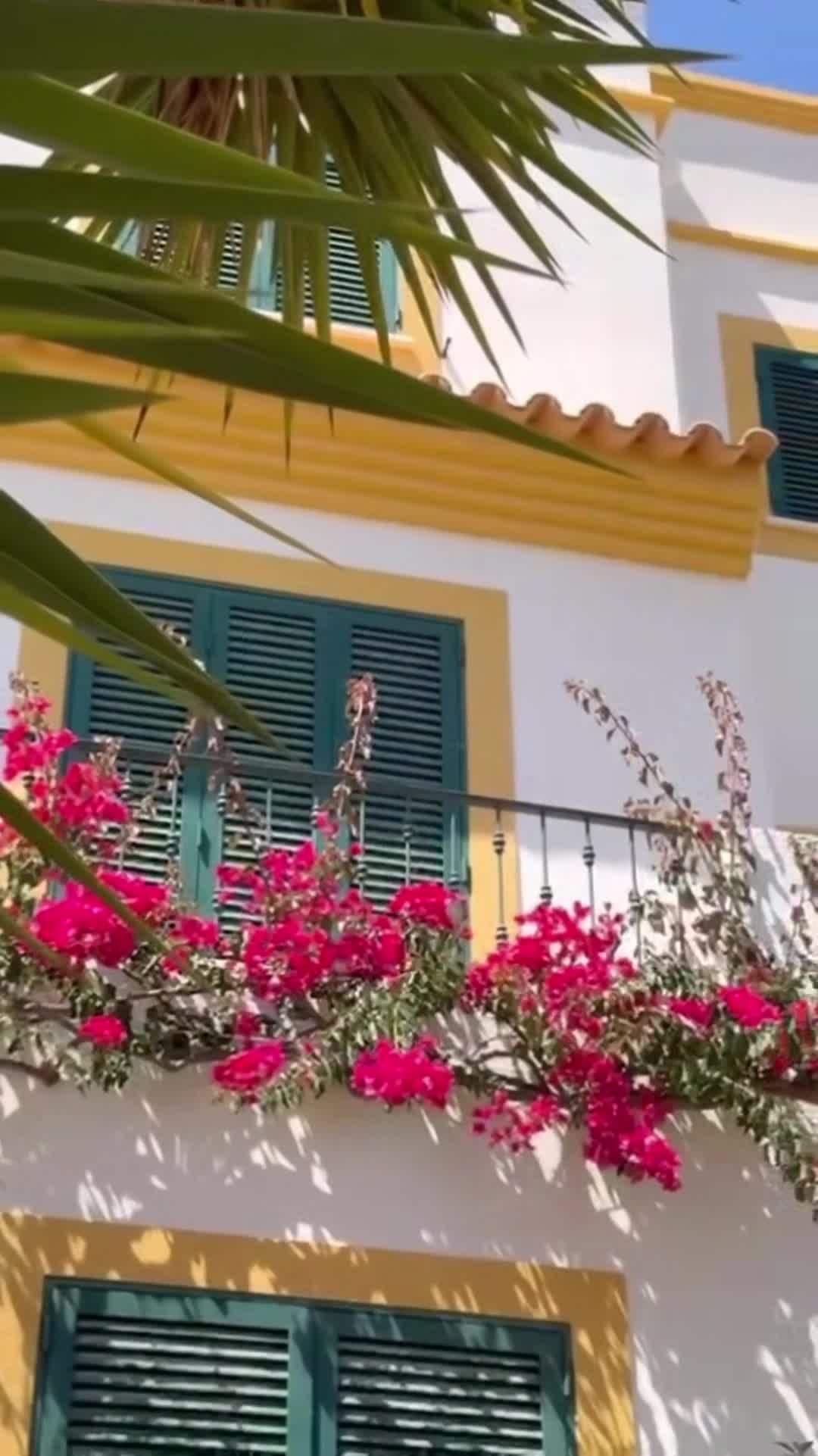 Property video