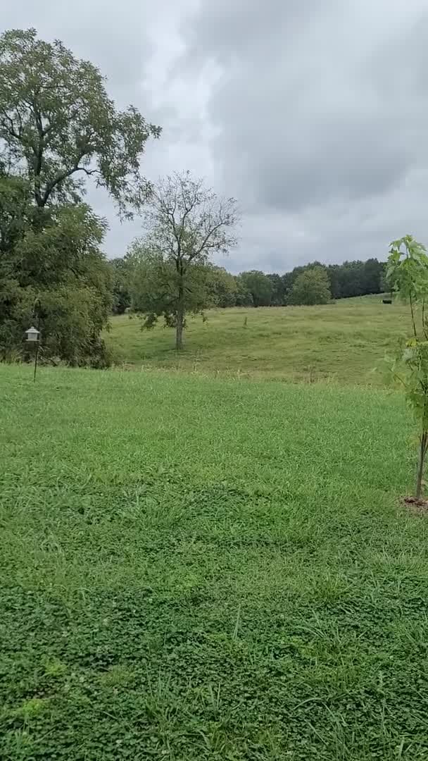 Video realizado por la propiedad