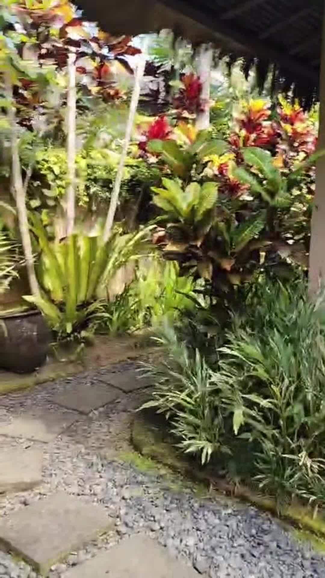 Vídeo da propriedade