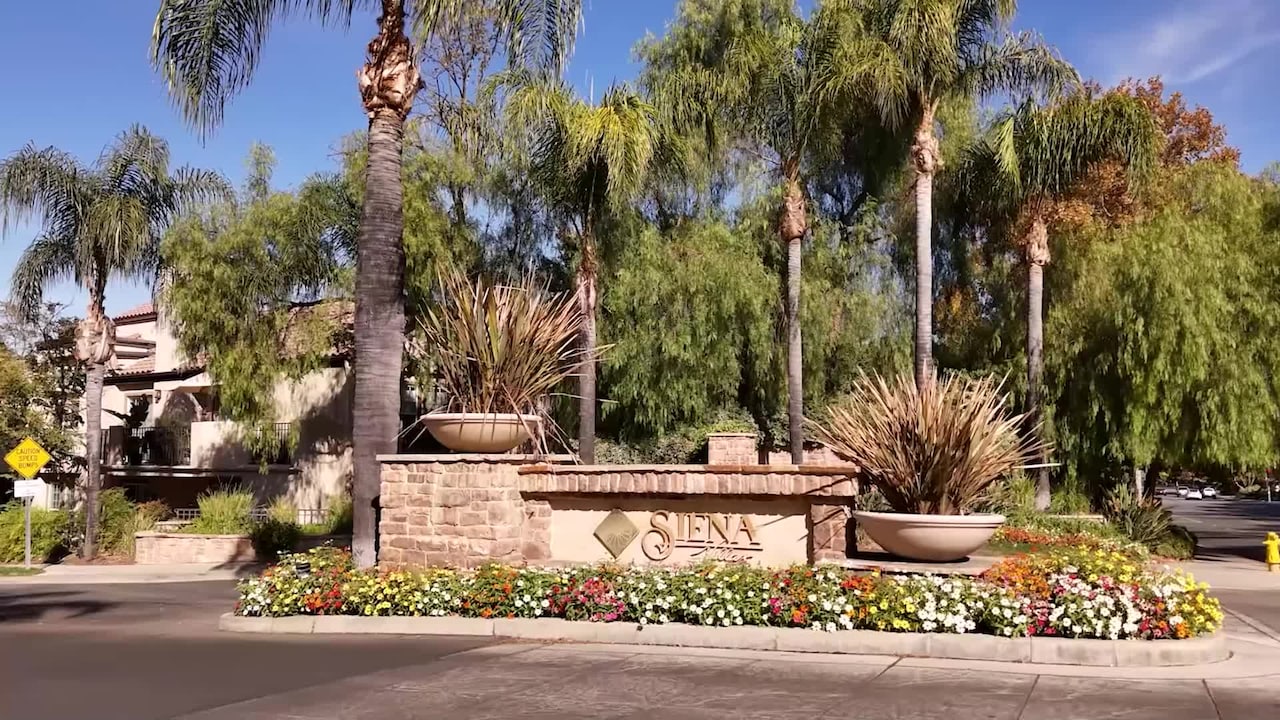 Property video