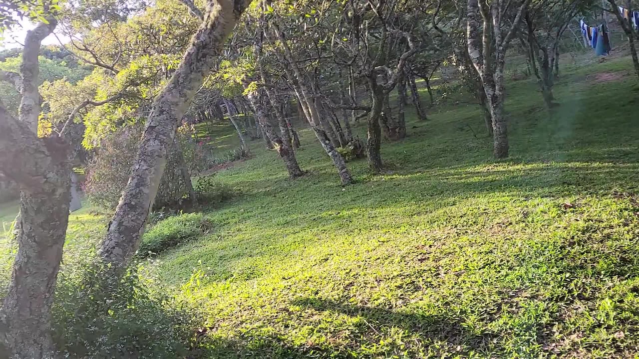 Vídeo da propriedade