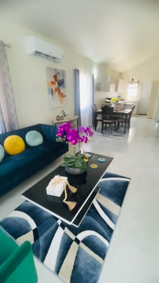 Property video