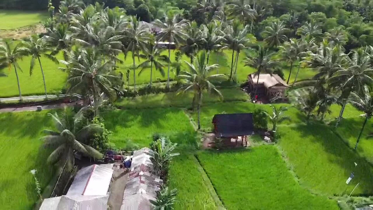 Property video