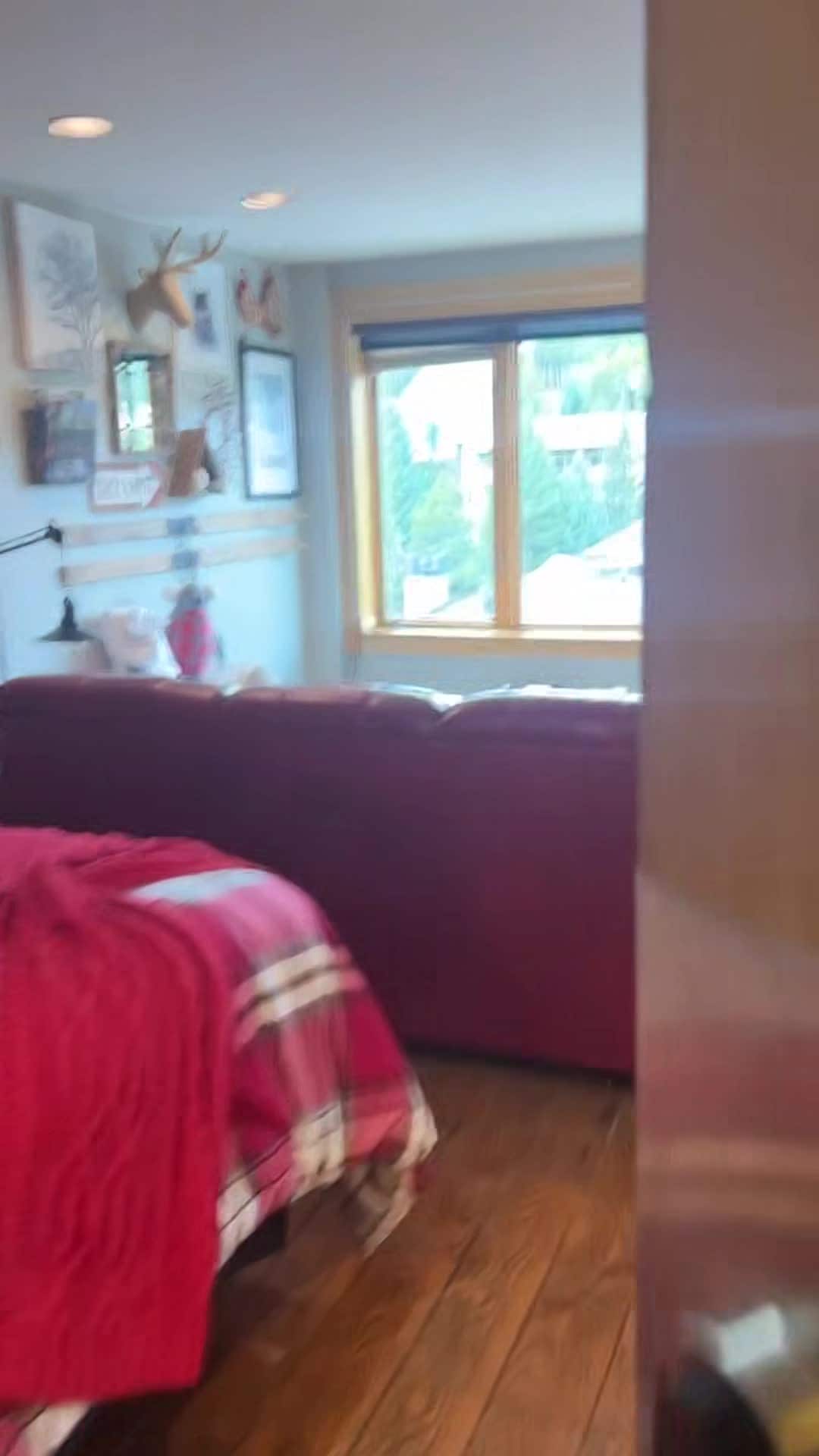 Video realizado por la propiedad