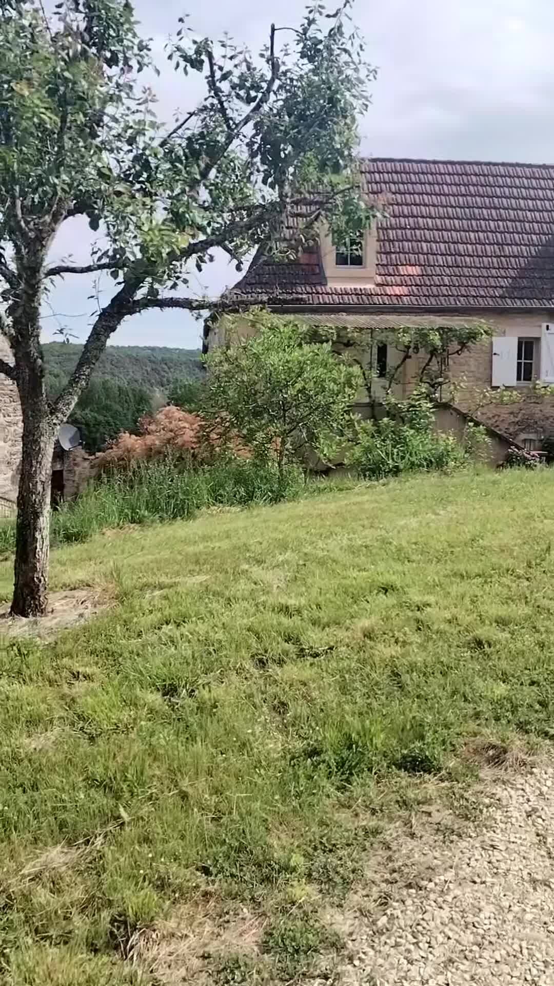 Property video