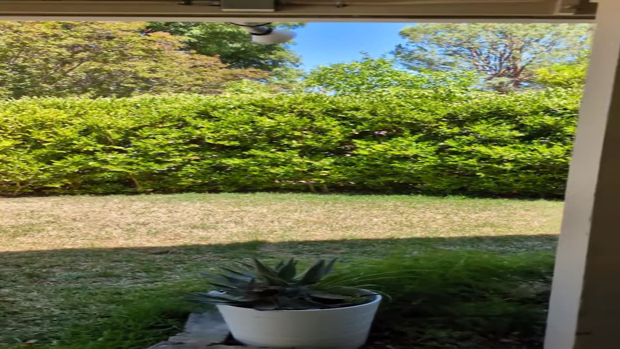 Majoituspaikan video