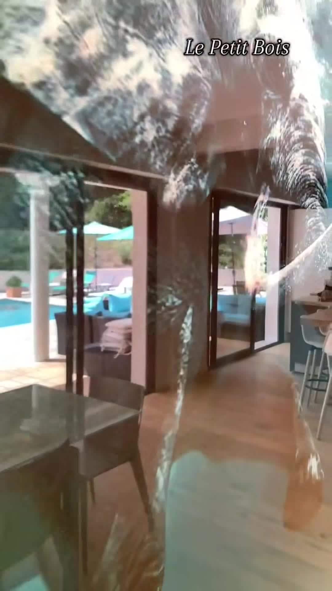 Video realizado por la propiedad
