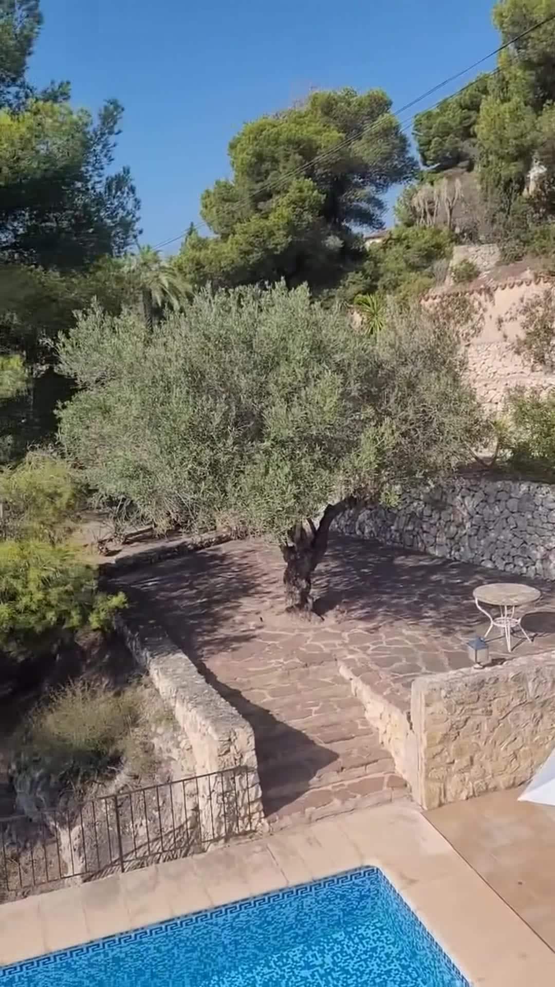 Property video