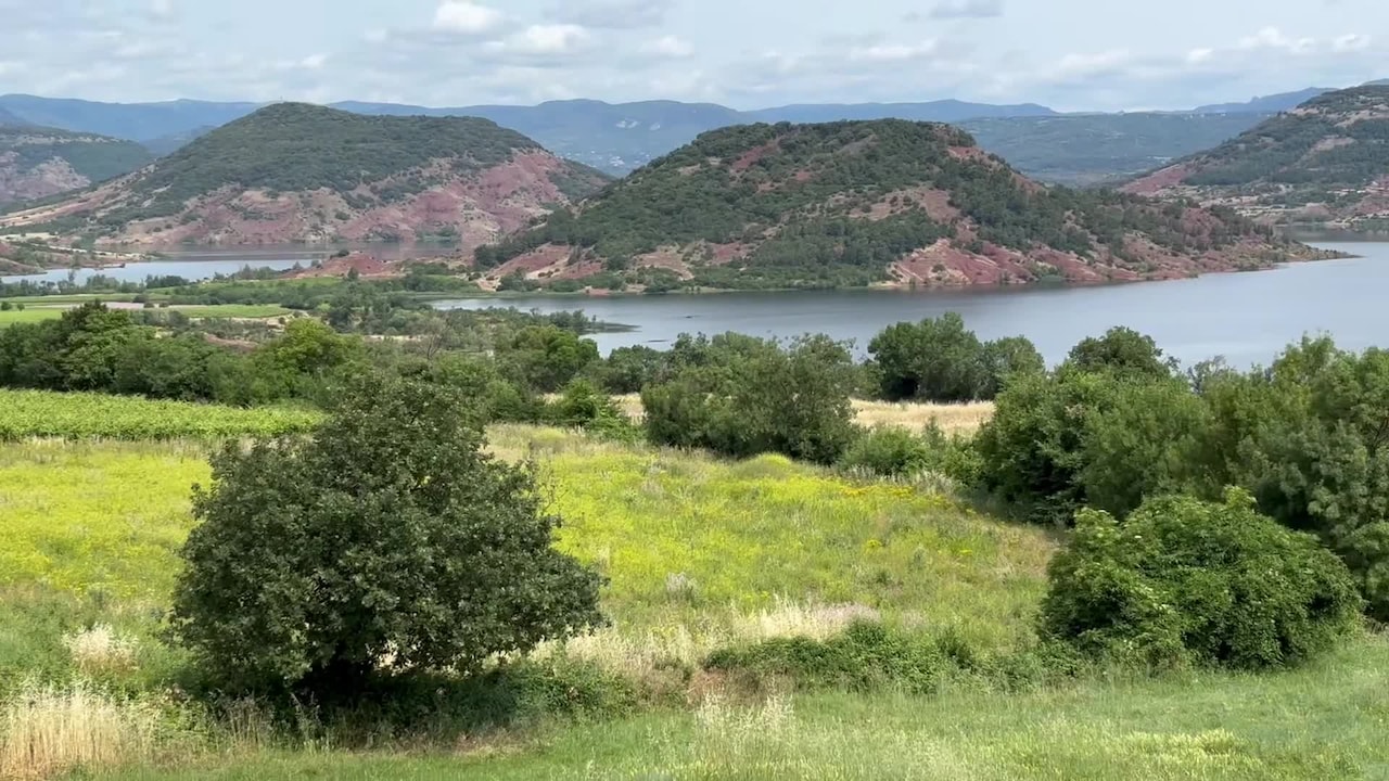 Property video