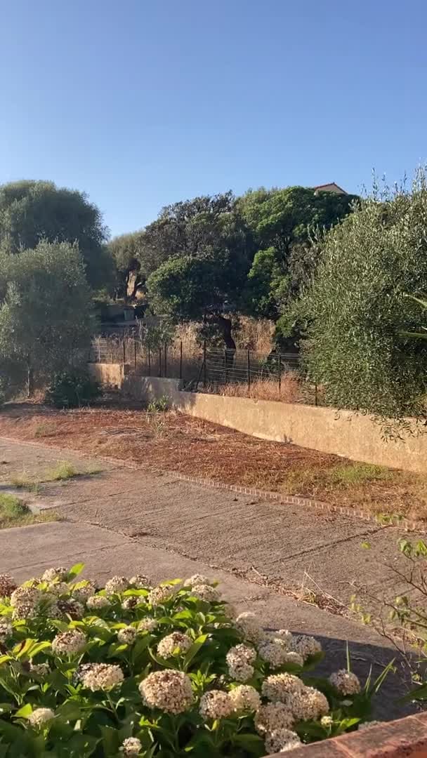 Property video