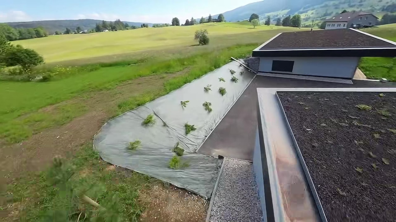 Property video