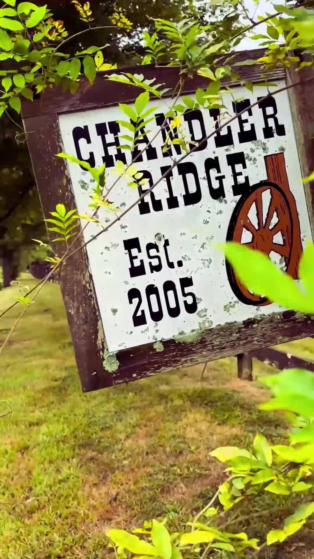Property video