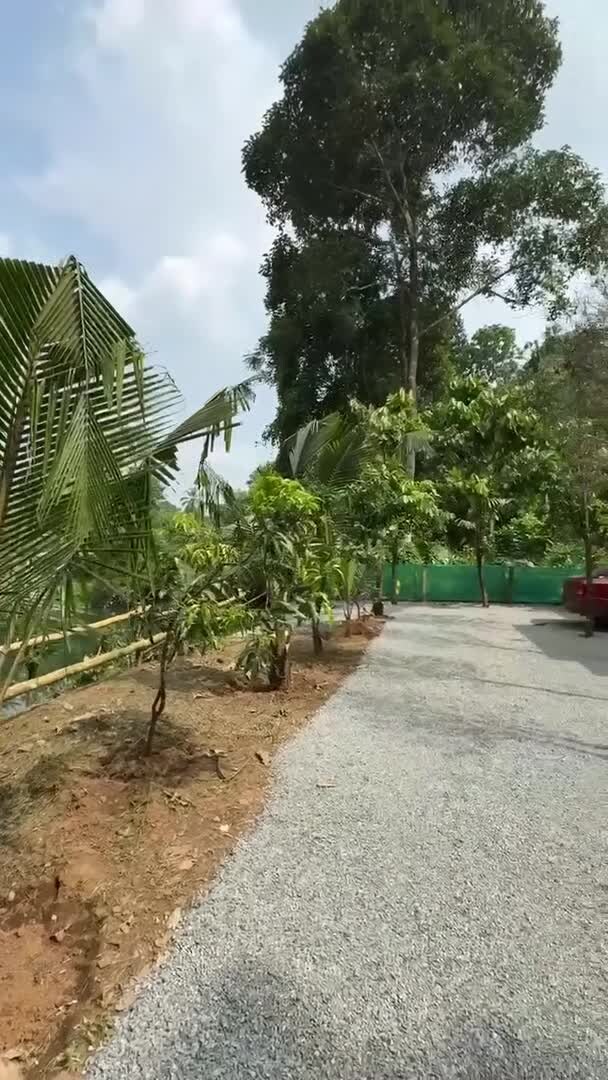 Property video