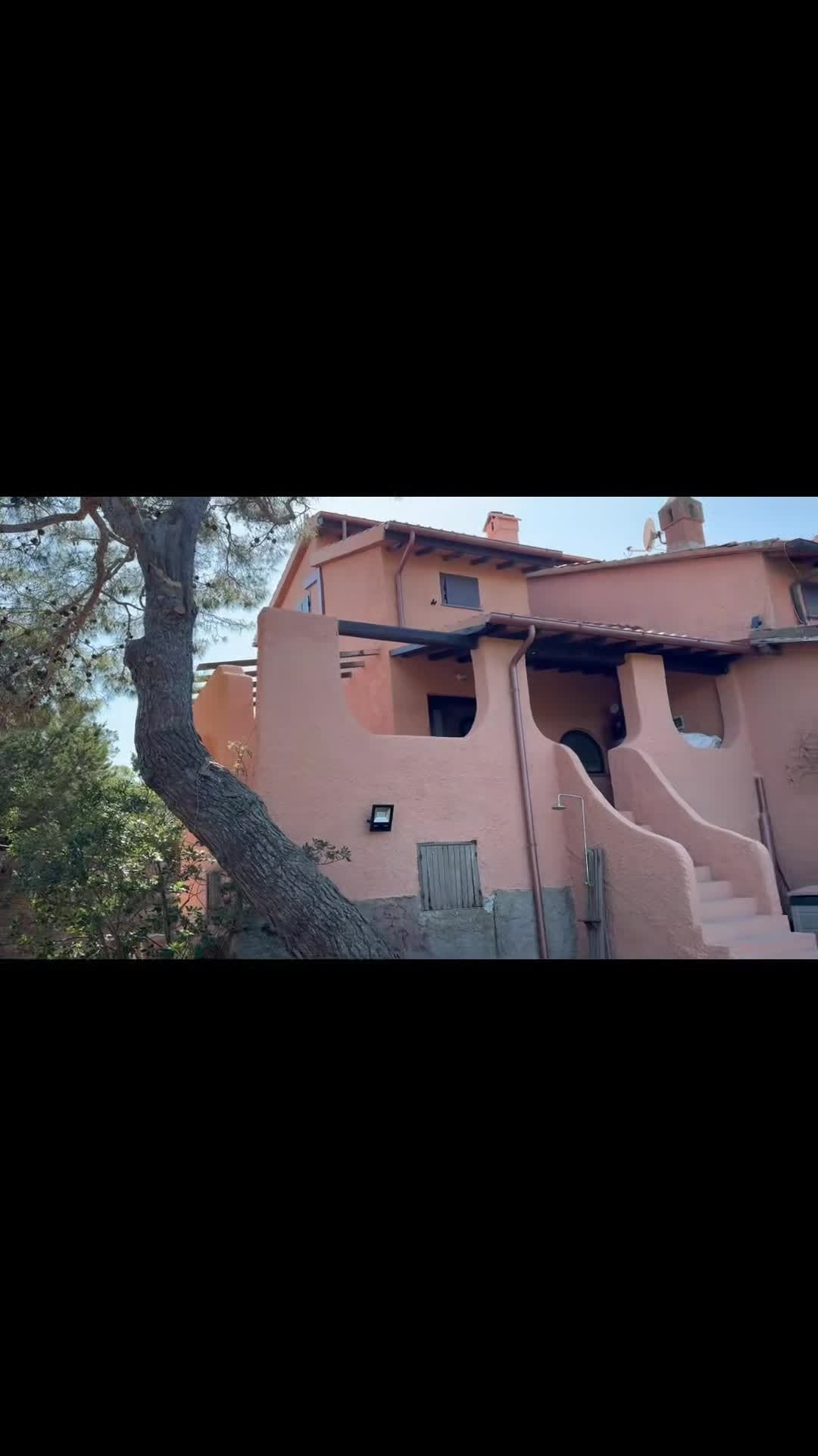 Property video