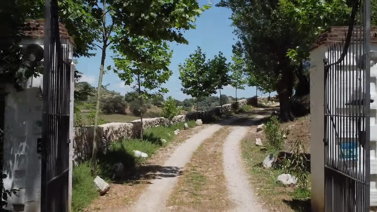 Property video