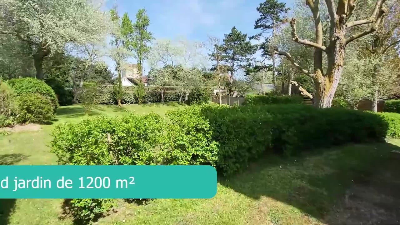 Property video
